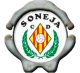  Escudo CD Soneja B